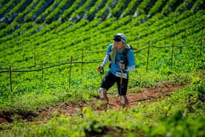 BIB: 
                            <button type="button" onclick="openModal(19162160)" class="btn btn-primary btn-sm float-right btn-popup" data-toggle="modal" data-target=".modal-high-quality">
                        <i class="fas fa-shopping-cart"></i> Add to Cart
                    </button>
                                            <button type="button" onclick="isThisMe(19162160, true)" class="btn btn-success btn-sm float-right btn-popup btn-isme hidden" data-toggle="tooltip" data-placement="bottom" title="นี่คือรูปของคุณใช่ไหม คลิกที่นี่เพื่อเอาเข้าอัลบั้ม">
                        <i class="fas fa-plus"></i> Add to album
                    </button>
                    <button type="button" onclick="isThisMe(19162160, false)" class="btn btn-warning btn-sm float-right btn-popup btn-isnotme hidden">
                        <i class="fas fa-ban"></i> Remove from album
                    </button>